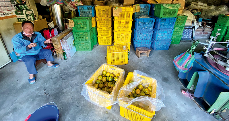 農貿政治染色 總統候選人紛爭支持 兩岸鬩牆礙銷陸 台農：通是好無亦罷