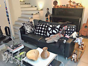 客廳佈局：室內設計及家俬以木製、黑白色和金屬風格為主。