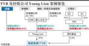 通訊局批准徐敬入股TVB  Young Lion與王雪紅分開持股