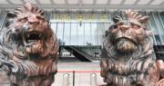 滙豐今天宣布，坐鎮匯豐總行大廈的銅獅史提芬和施迪已完成首階段清潔，同日重新揭幕。(相片由匯豐提供)