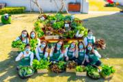 集團去年推出綜合綠色社區項目「一喜種田」，向社區推廣綠色及生物多樣性。