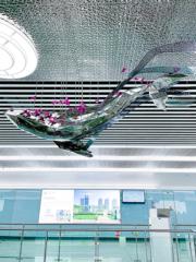 會展城站的《涅槃》，來自深圳市花三角梅與鯨魚的交織。