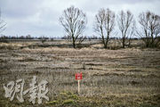 俄羅斯入侵烏克蘭後，烏克蘭有曾經種植小麥及玉米的土地埋下地雷，並標示屬危險區域。有分析指出，戰事爆發將影響烏克蘭的春耕，預期當地今年很多農地荒蕪。（法新社）