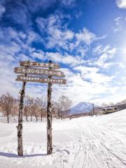 北海道二世古及鄰近東京首都圈的白馬，都是滑雪愛好者的熱門選擇。