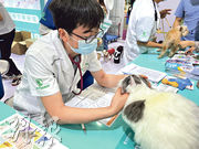 內地有數家保險公司提供寵物保險，一旦寵物患病，可減輕相關醫療開支。