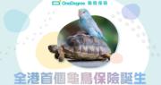 OneDegree推出龜鳥寵物保險 為本港首個受保龜鳥寵物醫療保險