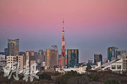 圖為東京塔附近市景。不動產經濟研究所指出，今年1月至11月日本首都圈新建公寓平均售價為6465萬日圓，與去年同期的6476萬日圓相若。（新華社）