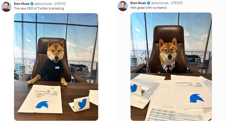 馬斯克突宣布Twitter新任CEO身份  竟是其愛犬