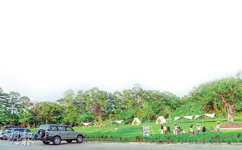 東莞觀瀾湖度假酒店正發展1.2萬平方米的草坪場地「秘密花園」，既可露營，又能舉行婚禮、音樂會等戶外活動。（觀瀾湖提供）
