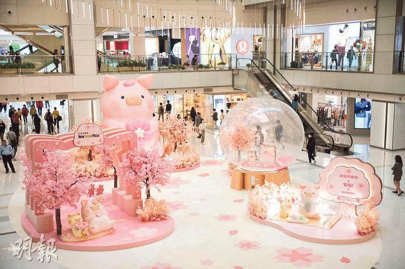 巨型LuLu豬與櫻花裝飾，現正登陸沙田新城市廣場中庭，供市民和遊客打卡。