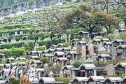 昨日清明節，有市民到廣州新塘公墓中華墓園拜祭。（中新社）