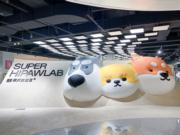 深圳本土人寵互動空間研發品牌「HiPawLab揮爪實驗室」，打造人與寵物的友好相處空間。