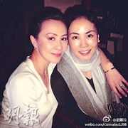 王菲（右）及劉嘉玲（左）於2011年同時一手購入深灣9號單位。