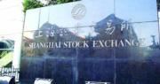 上交所召開指數化投資高質量發展座談會 提升中長期資金A股投資比例