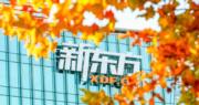 新東方上季賺8573萬美元 淨營收跌2%