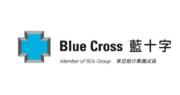 藍十字毛保費收入按年升逾兩成
