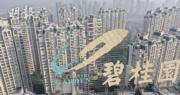 碧桂園料今年合約銷售300億至400億人幣