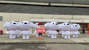 京東今派吉祥物到沙田跳舞快閃「謝票」因該區近兩月訂單量最高