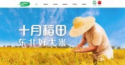 十月稻田：H股全流通申請已向中證監完成備案