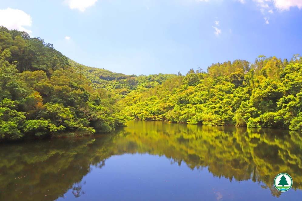 6.鶴藪水塘家樂徑:鶴藪水塘(漁護署網站圖片)