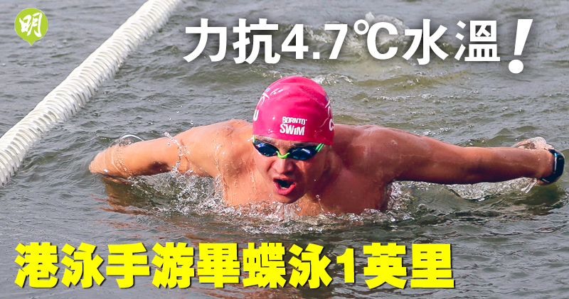 【游泳】港將麥震江力抗4.7℃水溫　冰水蝶泳游畢1英里　成全球男將第一人