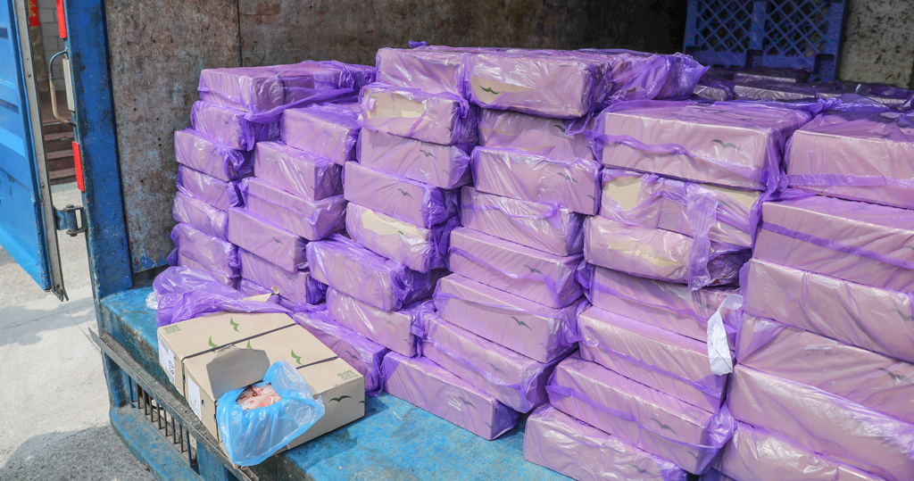 深圳警方7月起加強海上緝私　抓獲145人蛇　查扣走私凍品508噸