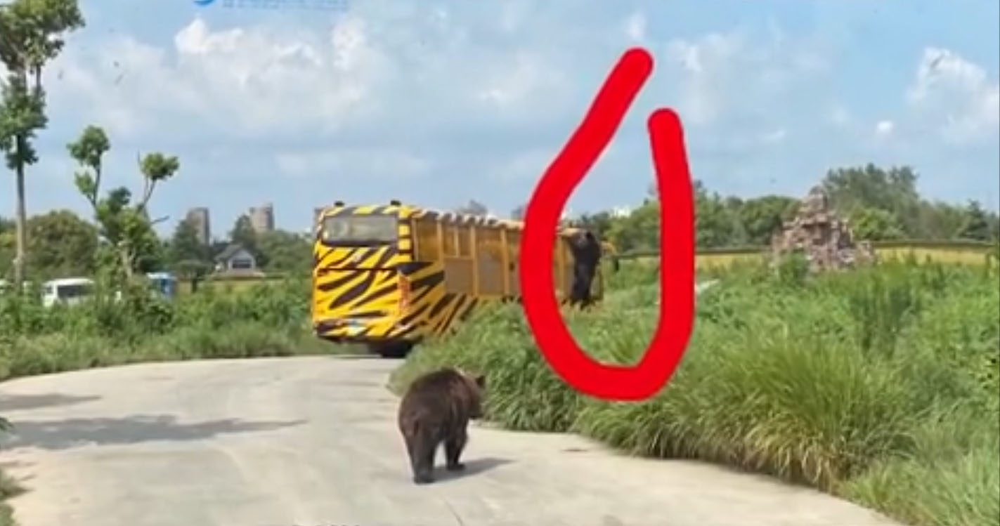 上海野生動物園飼養員被熊群攻擊遇難【短片】