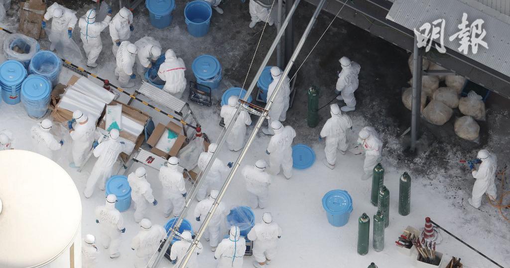 日本香川縣雞場疑爆禽流感　港食安中心指示業界暫停進口產品