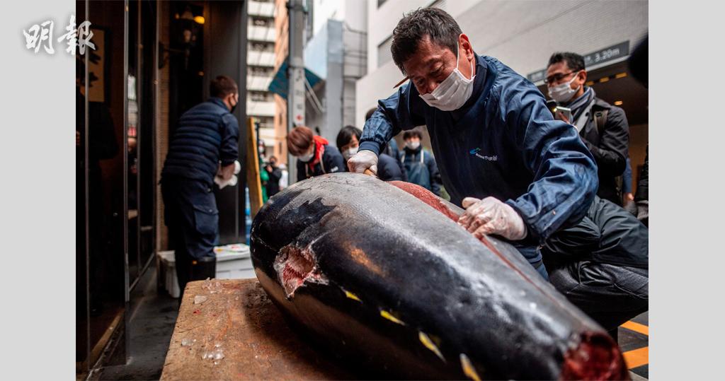 東京豐洲市場吞拿魚疫下身價降　首場競標最高價157萬港元成交