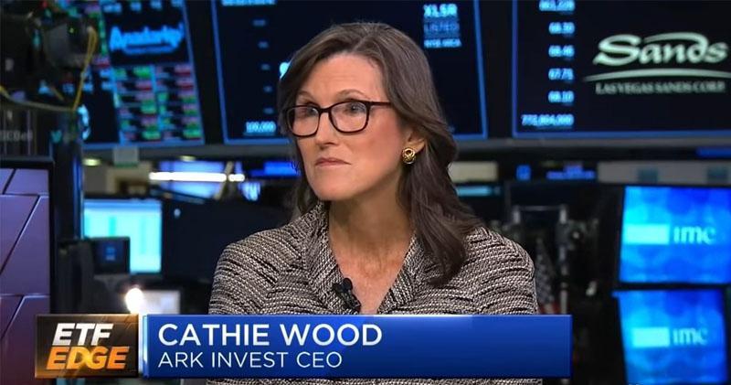 Cathie Wood旗下ETF資產逾500億美元 於韓國被封為「搖錢樹」