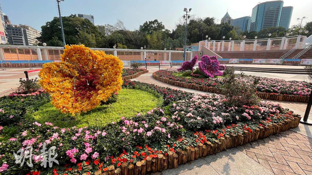 香港花卉展覽2021以杜鵑花為主題花，主題花花圃於九龍公園展出。（何芍盈攝）