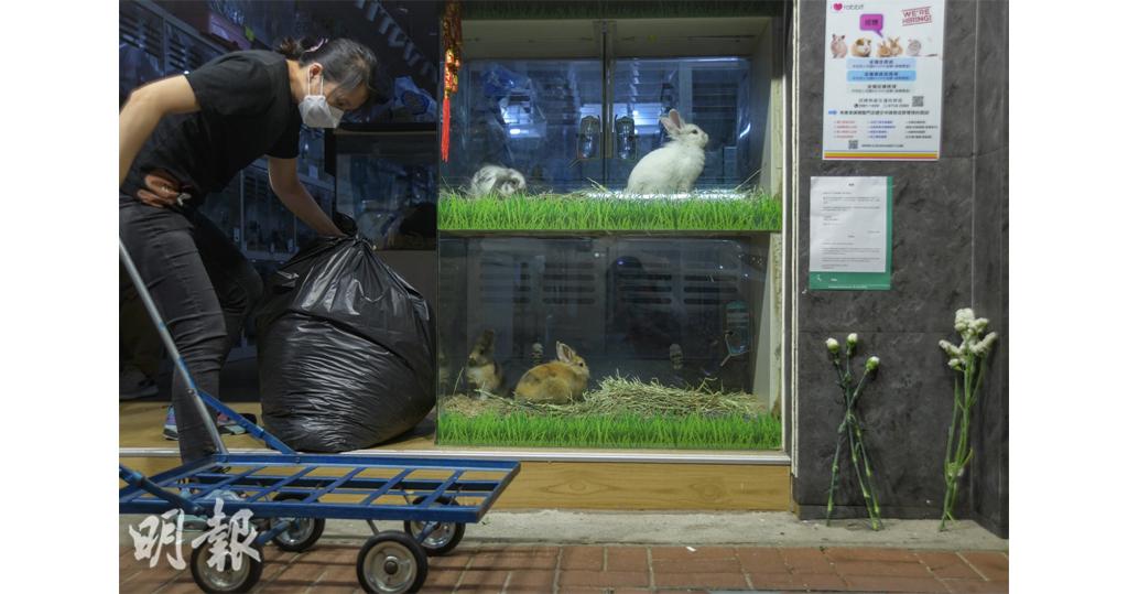 一名患者曾於旺角通菜街寵物店Little Boss買倉鼠。該店門外有人放置白色鮮花。（馮凱鍵攝）