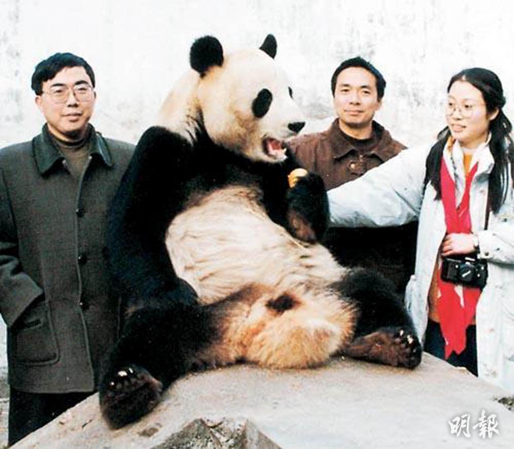 The giant panda An An took a group photo with experts from the Mainland Forestry Bureau before leaving his hometown of Wolong in Sichuan before arriving in Hong Kong. (file picture)