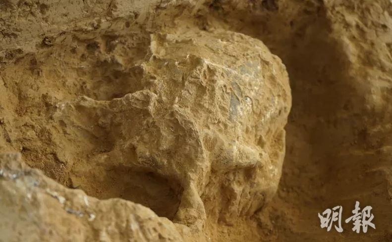 湖北發現古人類頭骨化石 證百萬年前中國有人類活動 為歐亞內陸同時代最完整