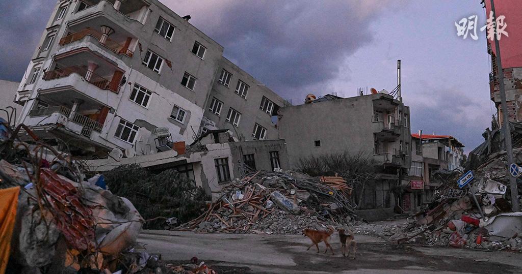土耳其逾16萬建築物倒塌受損　600人受查184人被捕