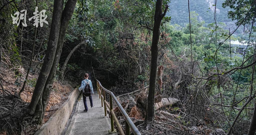 行山迷路6招應對　善用短訊或GPS遠足留蹤助搜救