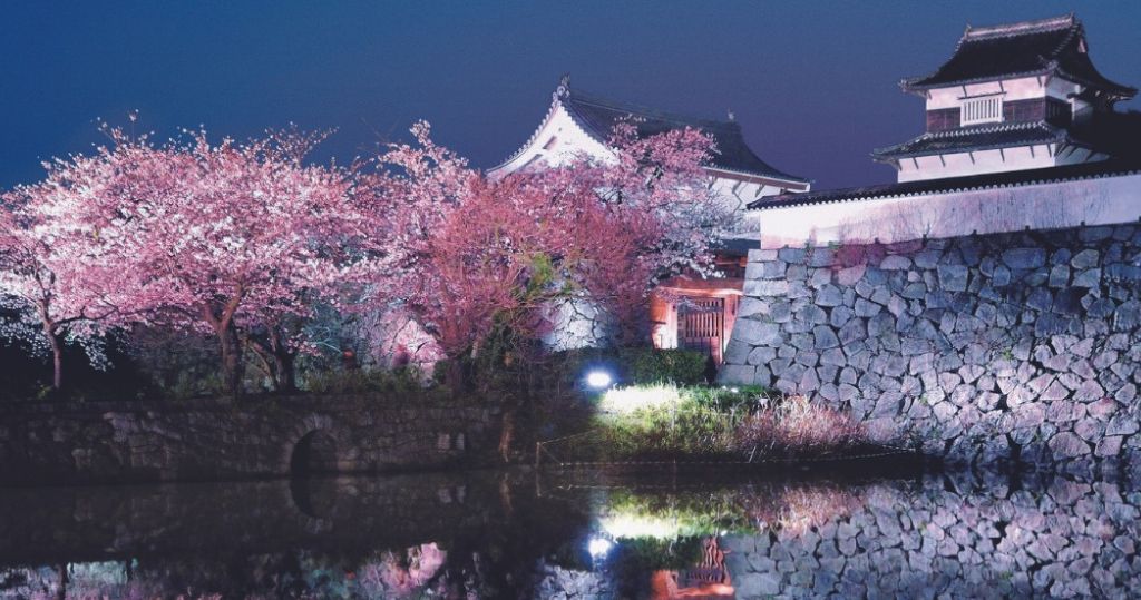 日本福岡城櫻花節周三（27日）於舞鶴公園揭幕。（福岡城櫻花節 facebook圖片）