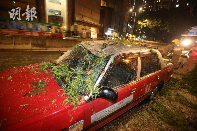 香港仔有樹木倒塌壓中的士　3人一度被困　司機手腳輕傷