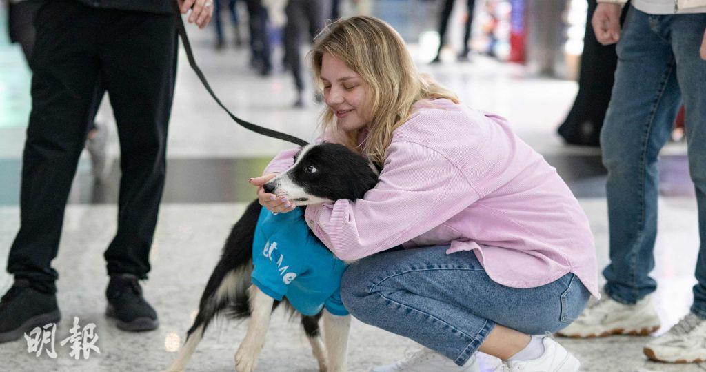 短片：土耳其機場「治癒系小狗」帶來歡樂