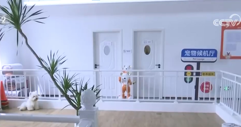 深圳機場推一站式服務首個寵物候機廳啟用　讓旅客線上查看毛孩狀態