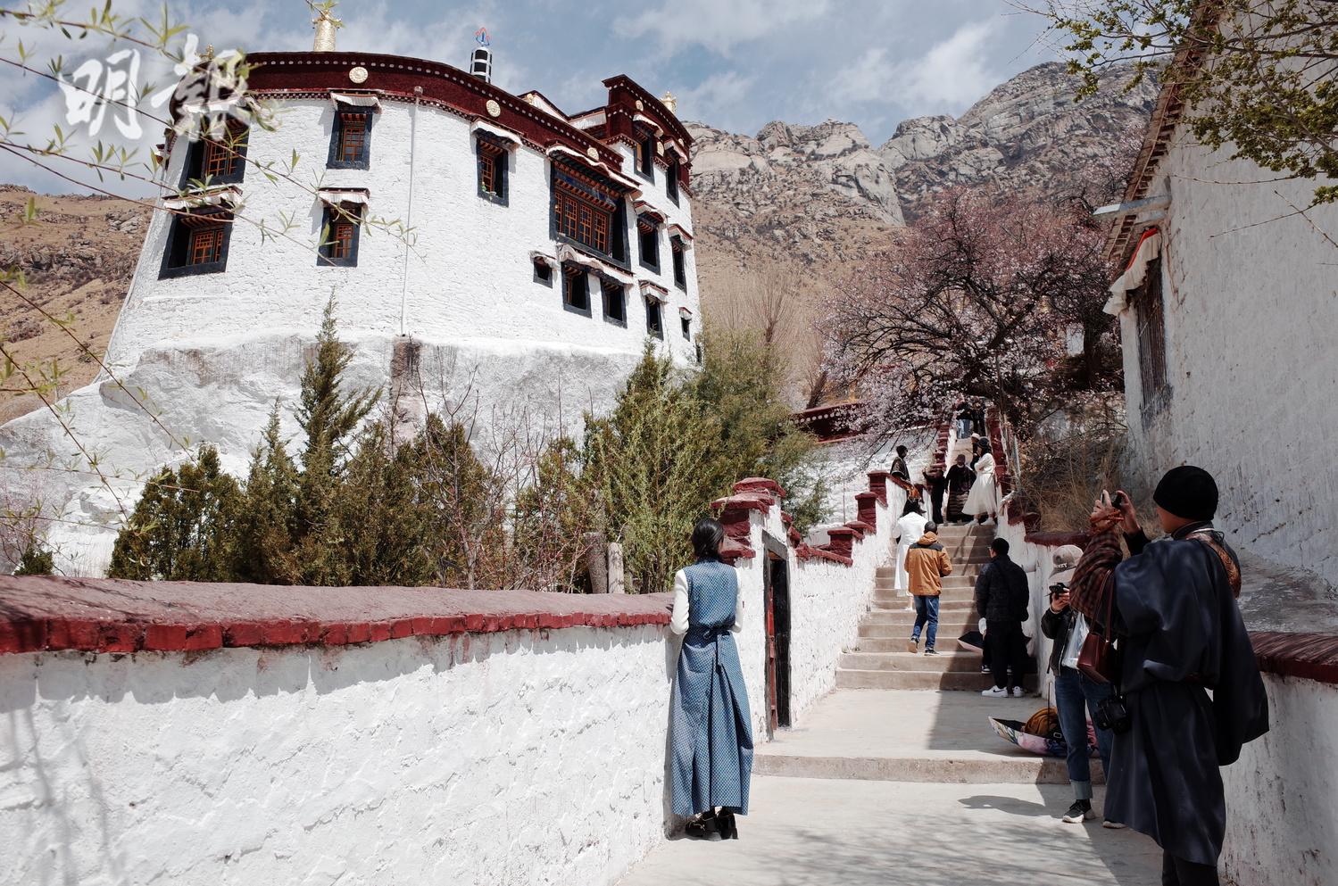 西藏去年接待5517萬遊客創新高  旅遊收入651億元