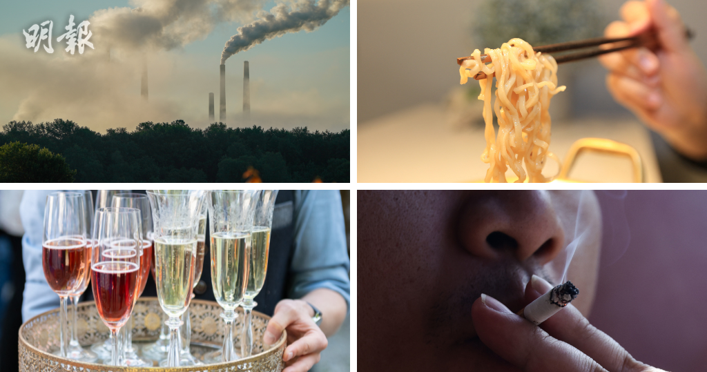 世衛批煙草、超加工食品、酒精、化石燃料業損公眾健康　致歐洲每年270萬人亡