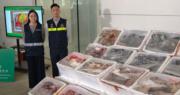 凍肉海鮮文錦渡走私往荃灣　海關拘兩男