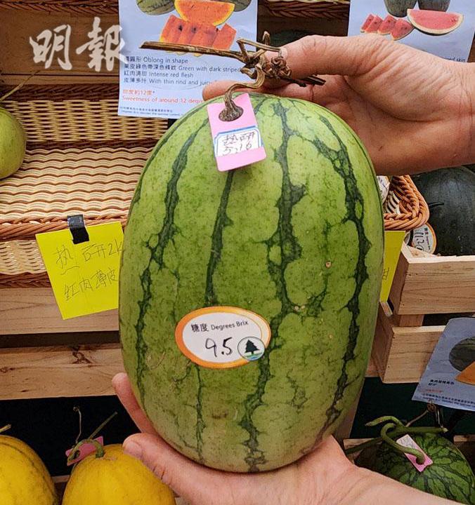 揀西瓜三招果農教睇果身、瓜頂、瓜底(16:01) - 20250623 - 熱點