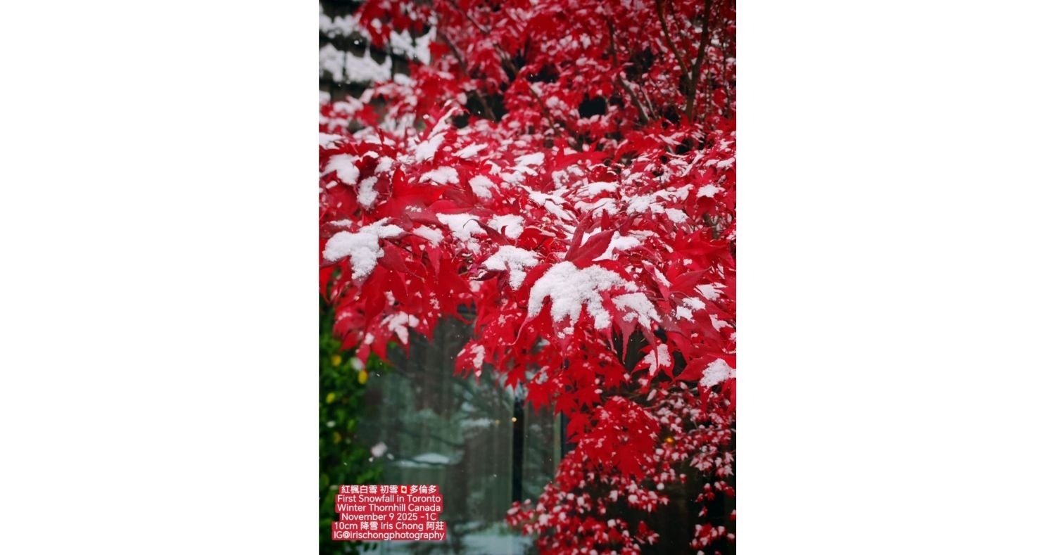 紅葉美景｜圖看多倫多白雪紅楓共舞(10:08) - 20251113 - 熱點- 即時新聞- 明報新聞網