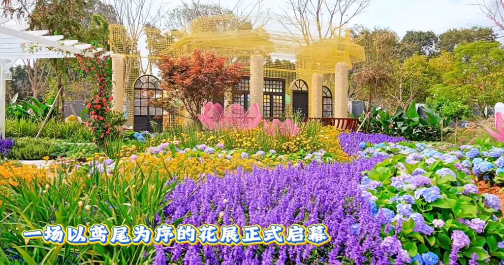 深圳好去處｜粵港澳大灣區花展周五福田揭幕免費入場(15:00) - 20260326