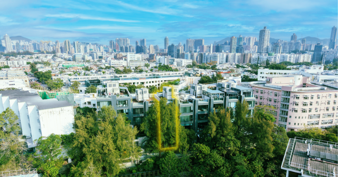 關景鴻海棠路62號遺產屋招標放售