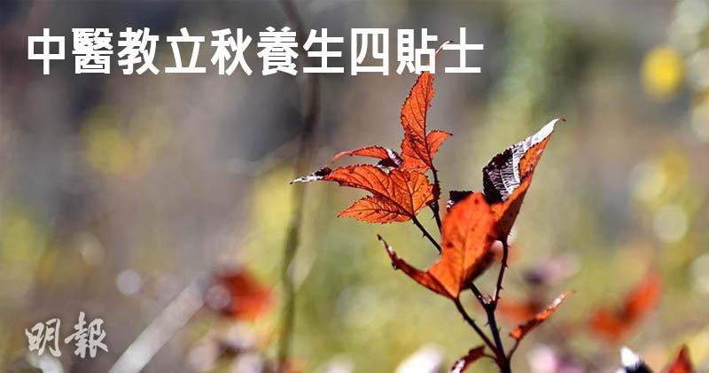 立秋‧二十四節氣|立秋養生4貼士 宜早睡做瑜伽多伸展