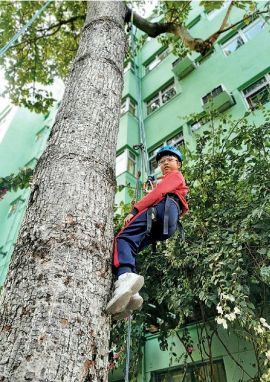 攀樹結合生態教育和體能訓練，也鍛煉出孩子的堅強意志。（受訪者提供）