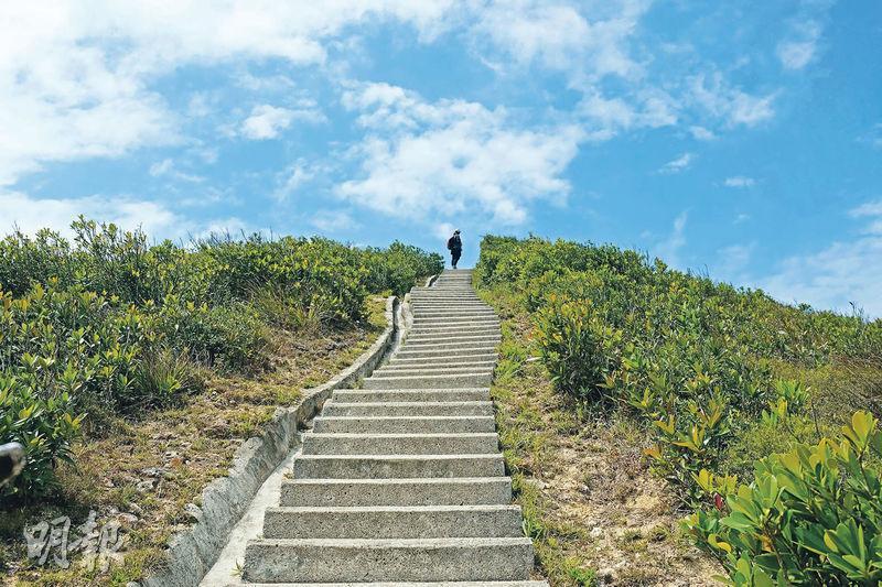 登孖崗山——從引水道轉上梯級往孖崗山觀景台，這段路可說是全程最辛苦。（鄧宗弘攝）